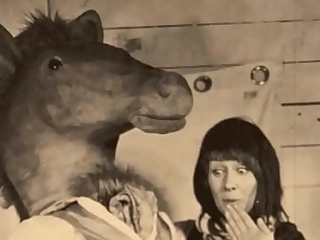 Le ragazze di output danno animali domestici