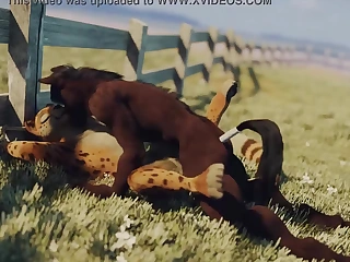 Horse and cheetah cat furry yiff
