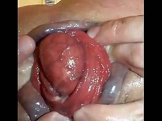 玫瑰花蕾