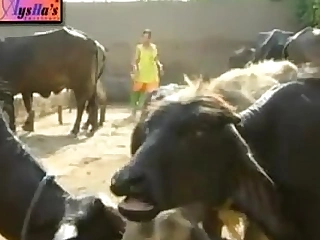 NADIA ALI HOT MUJRA GUJJRA WAY.flv