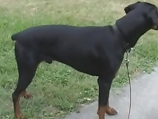 Teen abased by piping hot neighbor