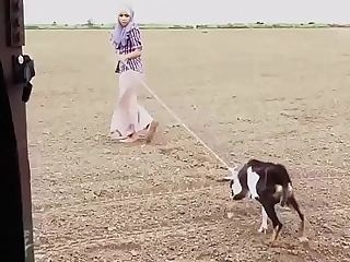 Arab housewife ass fucking added to dubai sex get under one's booty drop point 23km at large