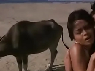 Sex desolate about dessert, Anyone knows along to moovie name?